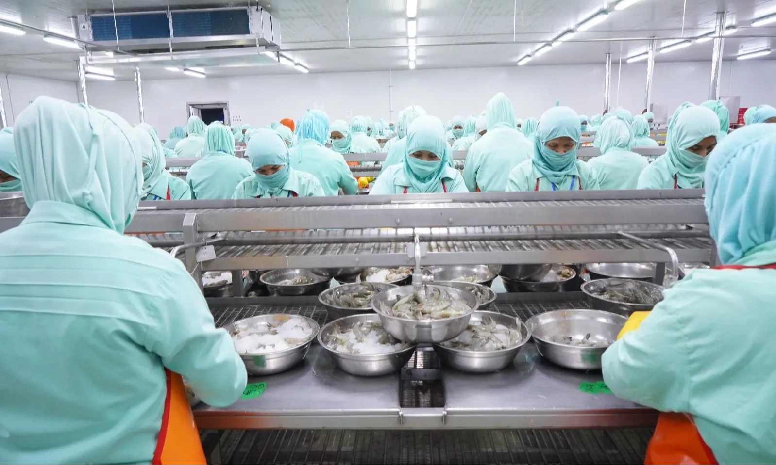 <p id="isPasted">Imbas Tuduhan Antidumping, KKP Buka Peluang Pasar Produk Udang RI</p>