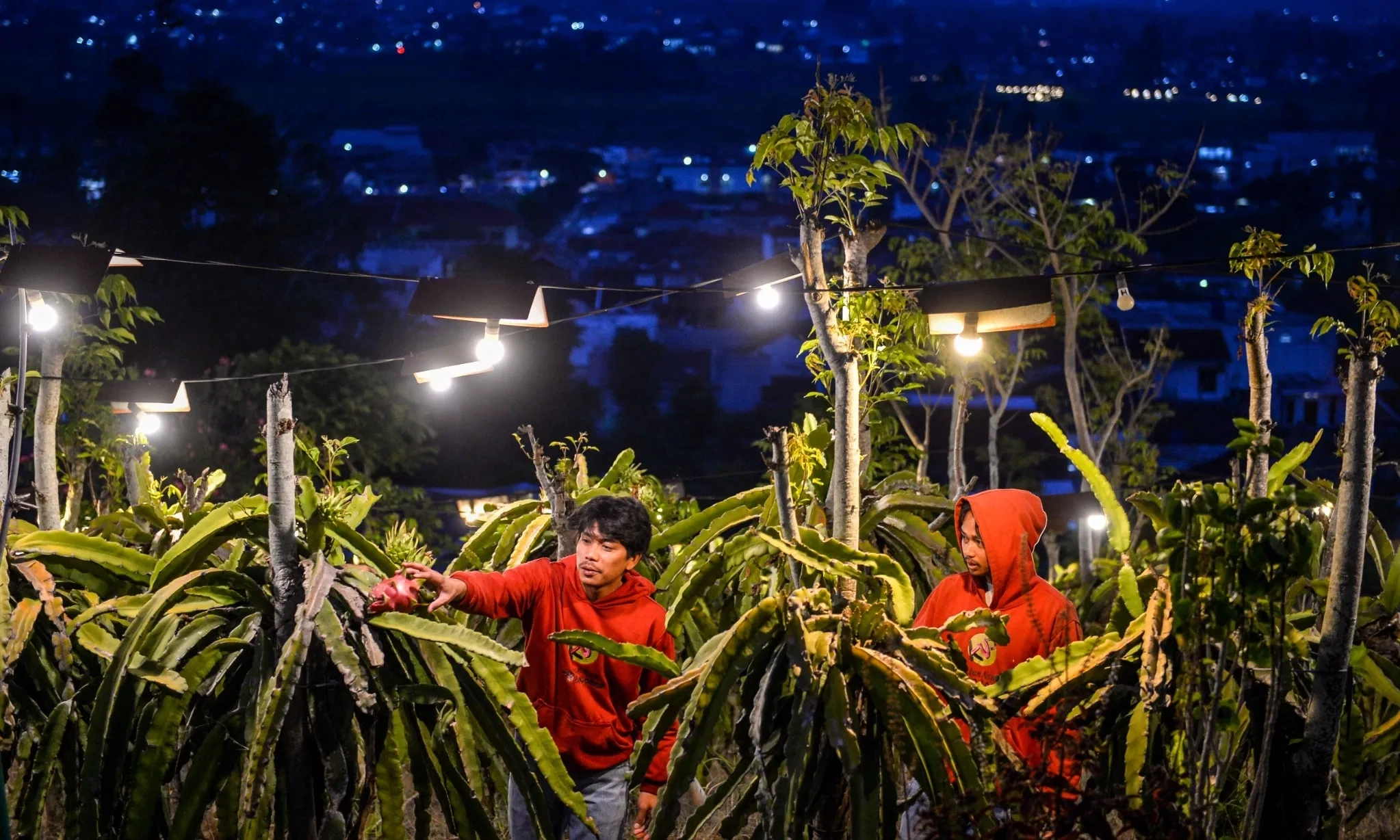 <p id="isPasted">Energi Hijau Kawal Ketahanan Pangan</p>