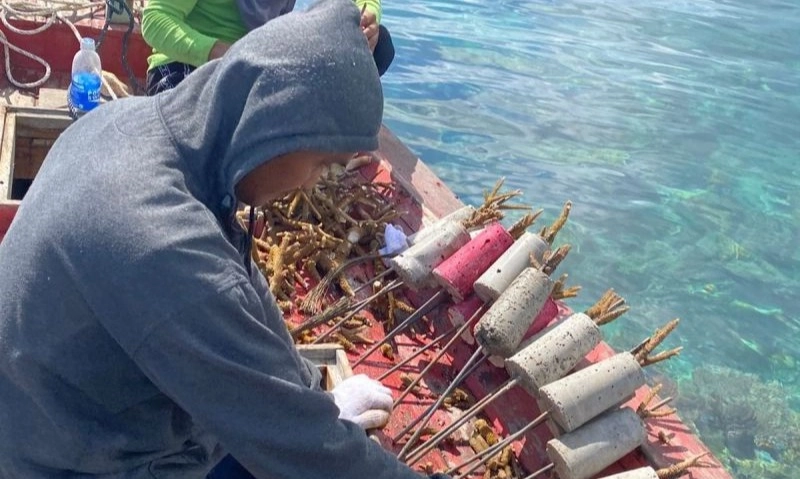 <p>Masyarakat Mesti Lakukan Amdal Sebelum Memulai Pekerjaan</p>