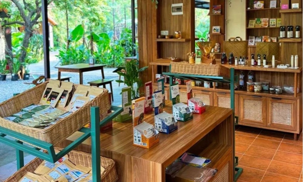 <p>Sudut Hutanika, Nongkrong Hijau Di Pusat Kota Bandung</p>