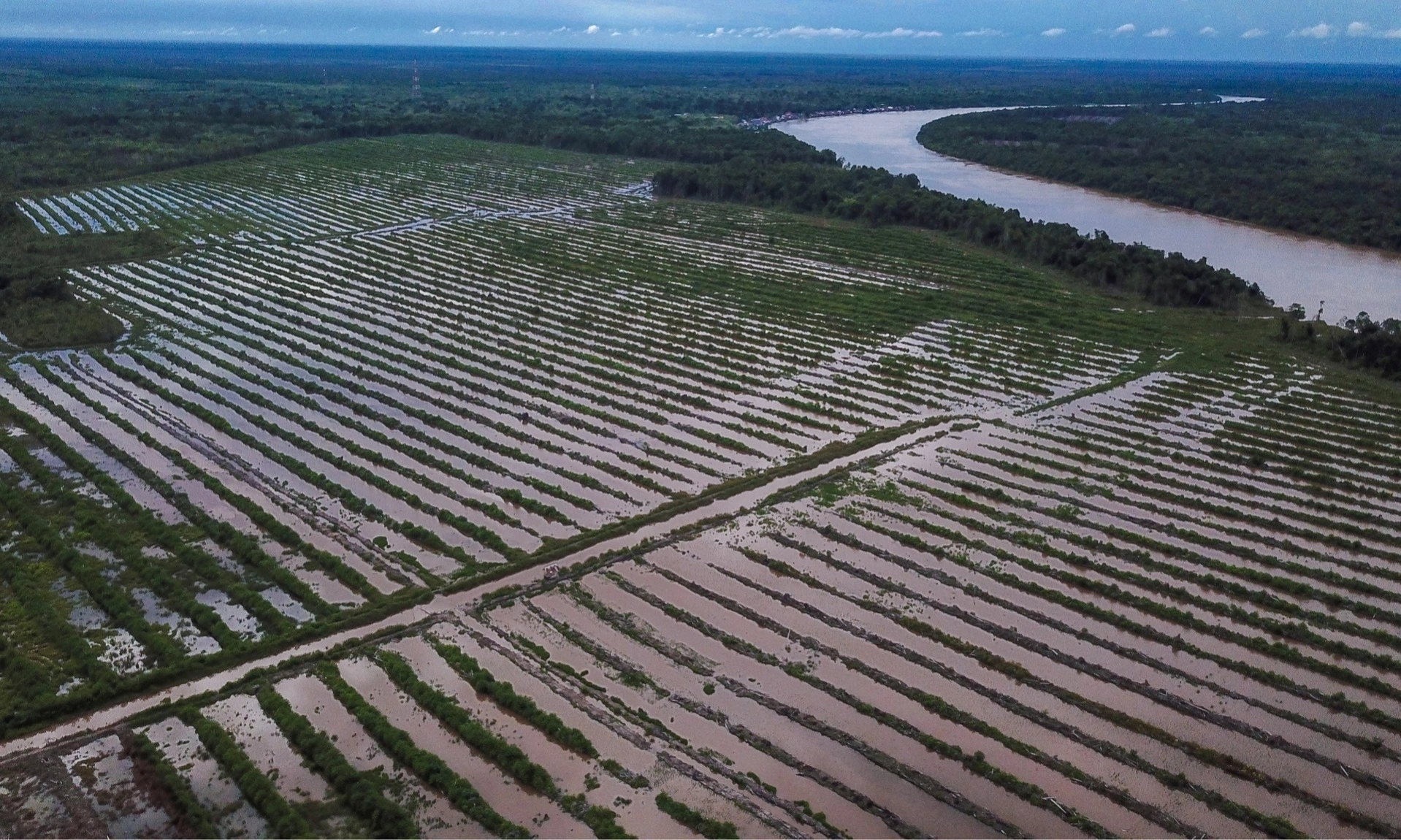 <p>Pemerintah Diingatkan Kajian Sebelum Buat <em>Food Estate</em></p>