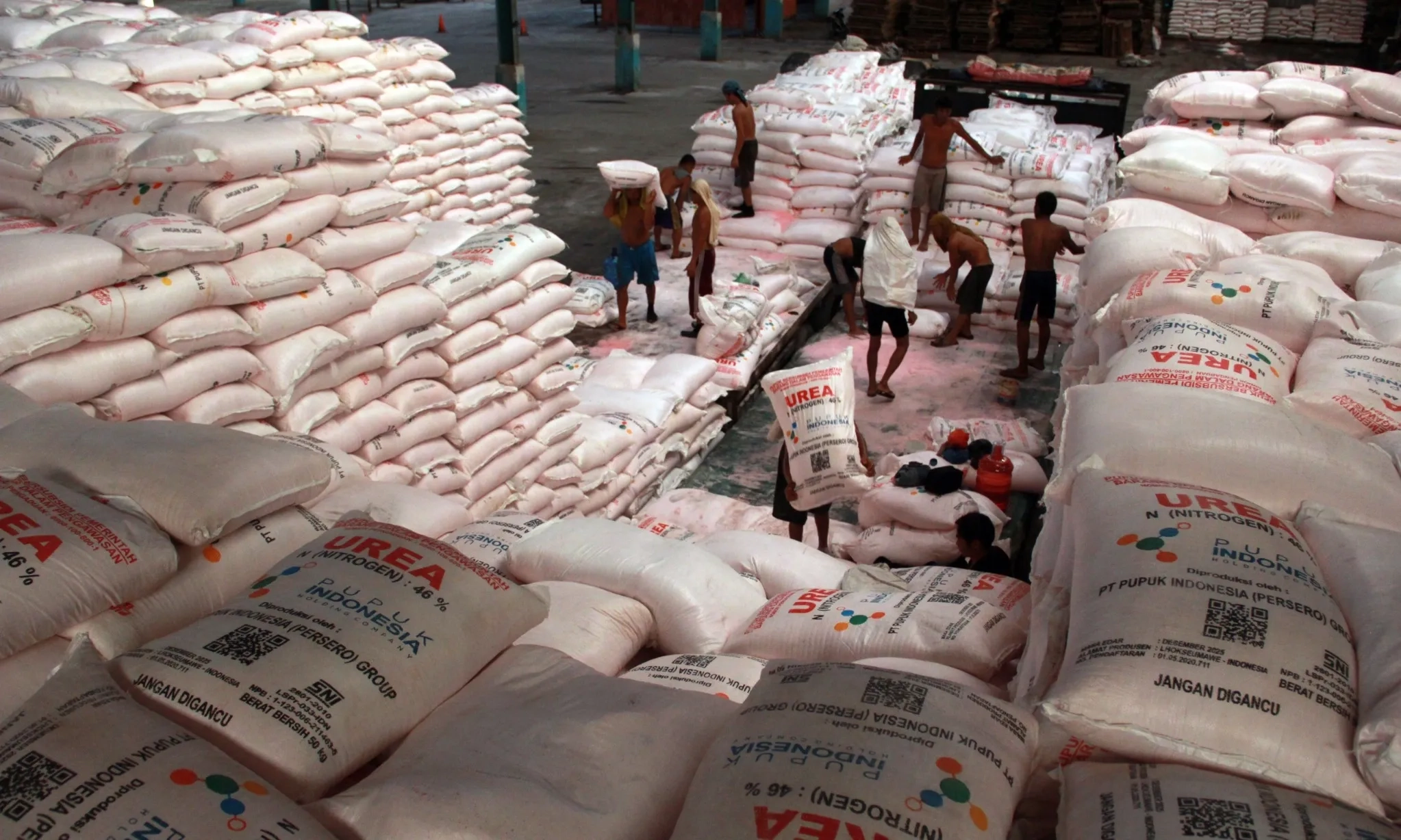 <p id="isPasted">Mentan Tindak 27 Oknum Perusahaan Pupuk Yang Rugikan Petani Rp3,23 T</p>