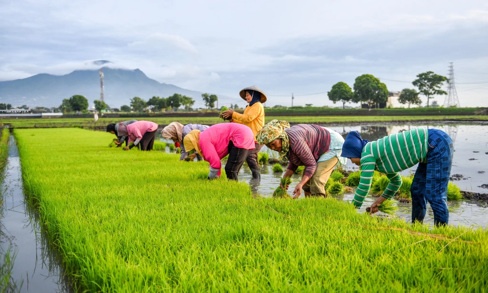 <p id="isPasted">Prabowo Sebut Swasembada Pangan Kunci Pengendalian Inflasi</p>