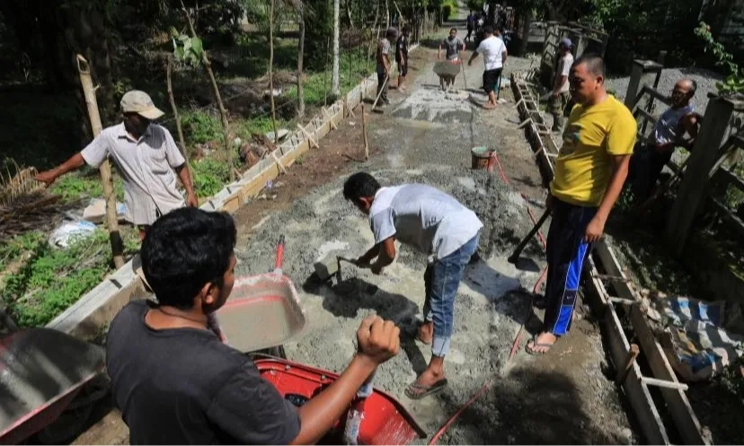 <p id="isPasted">Mempertanyakan Efektivitas Peran Pendamping Desa&nbsp;</p>