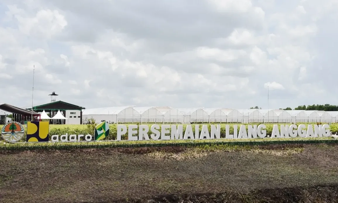 <p>Persemaian Bibit Skala Besar Siap Dukung Program Rehabilitasi Hutan dan Lahan</p>