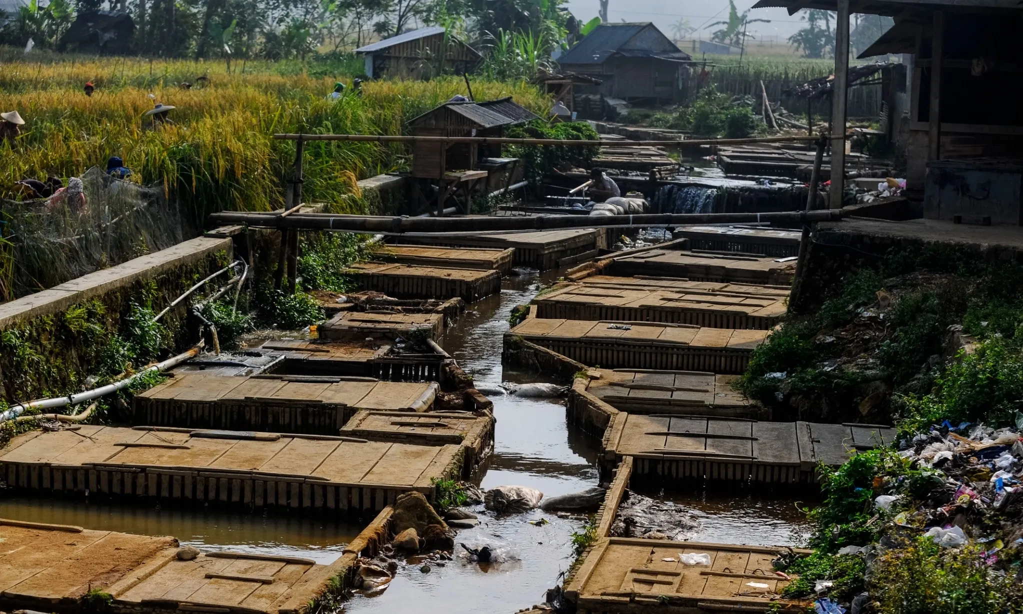 <p>Menjaga Alam Berbekal Pengetahuan Lokal</p>
