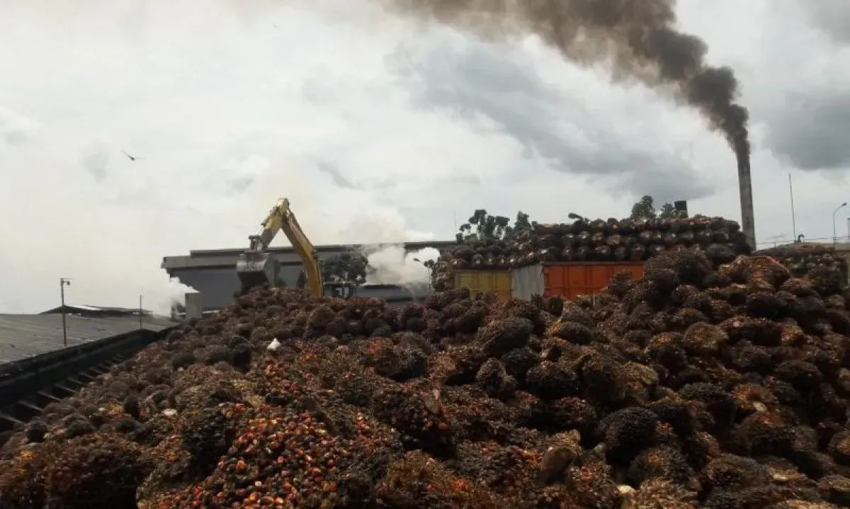 <p>GAPKI: Penggunaan Limbah Cair Pabrik Kelapa Sawit Efektif Kurangi Impor Pupuk</p>