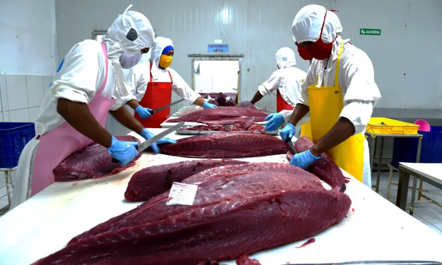 <p id="isPasted">Industri Pengolahan Salmon dan Tuna Kena Dampak PPN 12%? Ini Penjelasan Wamenperin</p>