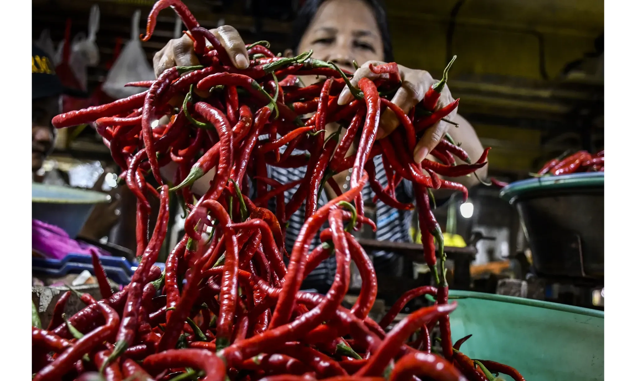 <p id="isPasted">Harga Pangan Selasa, Cabai Merah Keriting Turun Jadi Rp48.310 Per Kg</p>