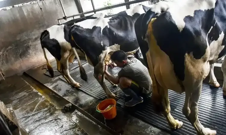 <p id="isPasted">Kementan Minta Peternak Segera Impor Sapi Indukan&nbsp;</p>