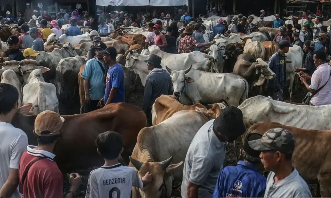 <p>Cegah PMK Purwakarta Tolak Hewan Ternak Jatim dan Jateng</p>