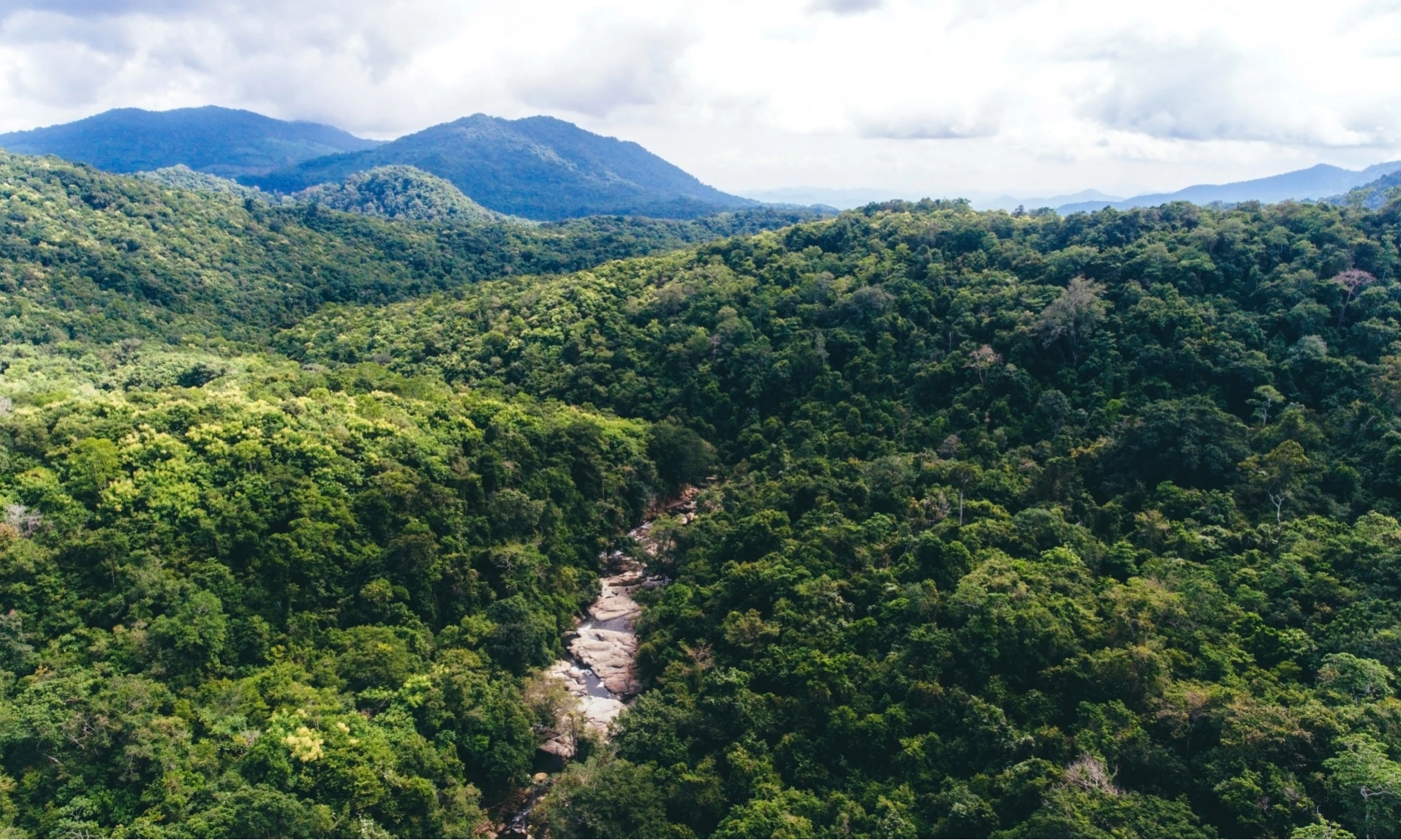 <p>Ketahanan Pangan Berpotensi Turunkan Hutan</p>