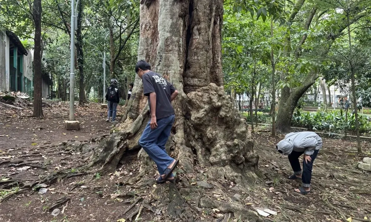 <p>Kontroversi Koin Jagat, Tren Berburu Koin Yang Marak Di Kota Besar</p>