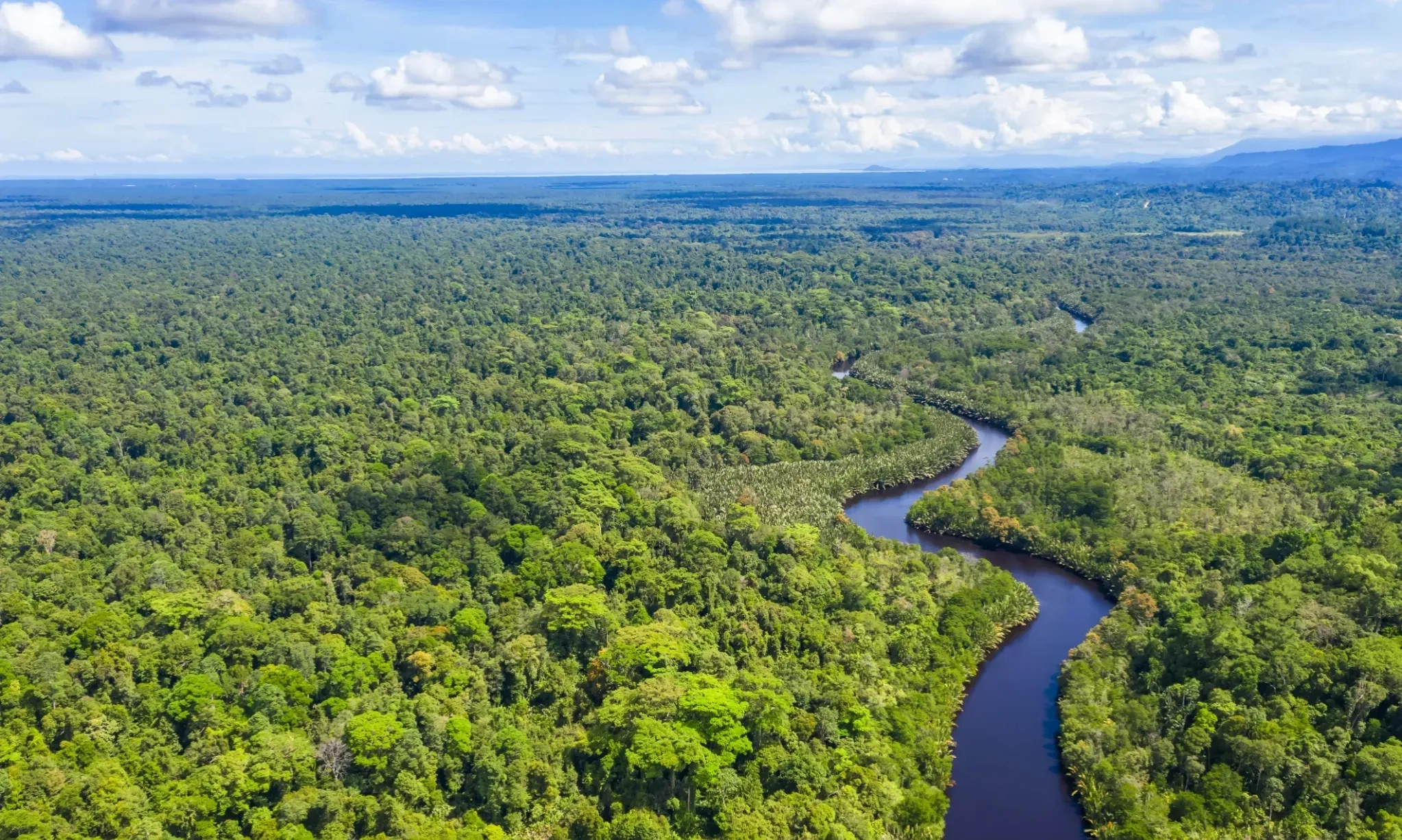 <p>Menhut Tolak Dituding Deforestasi Hutan</p>