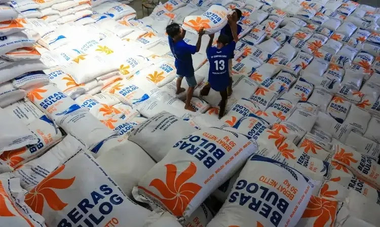 <p>Bulog Targetkan Serap 1,4 Juta Ton Beras Di Panen Raya Maret 2025</p>