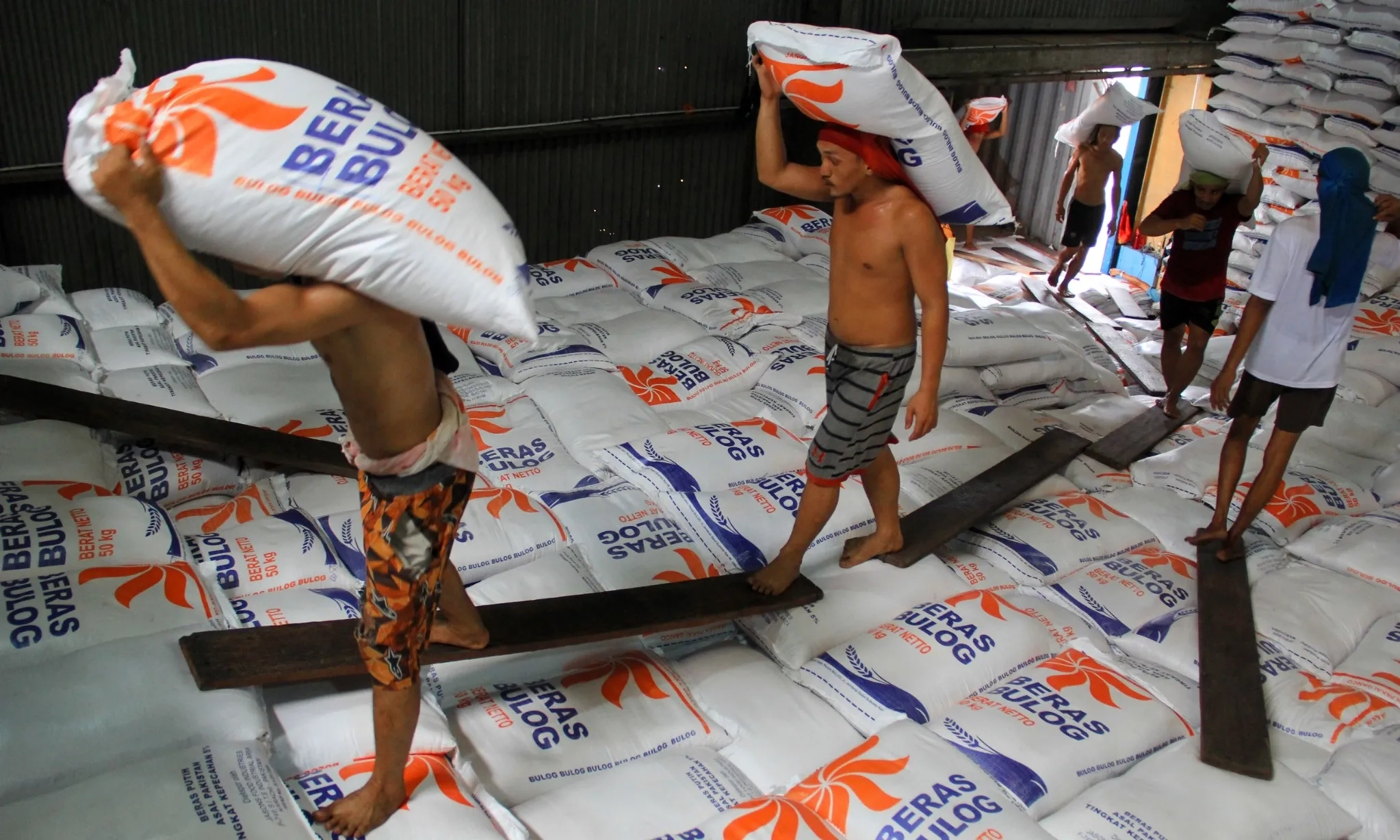 <p id="isPasted">Ditugasi Serap 3 Juta Ton Beras, Bulog Akui Butuh Biaya Rp57 Triliun</p>