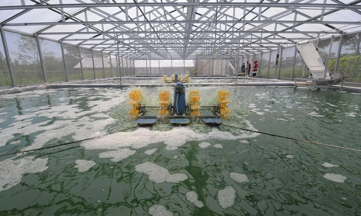 <p id="isPasted">OBAT Bidik Penjualan Pohon Cair Penyerap Karbon 50 Unit</p>