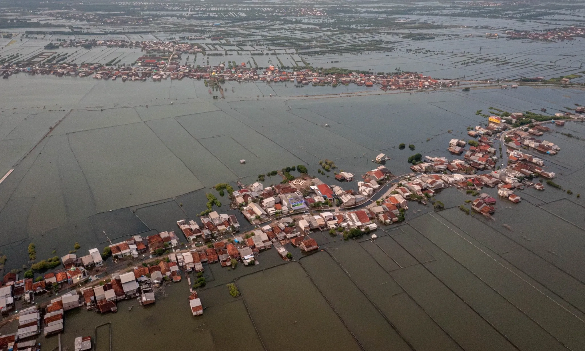 <p>Pakar Ingatkan Potensi Pengungsi Internal Akibat Kenaikan Air Laut</p>