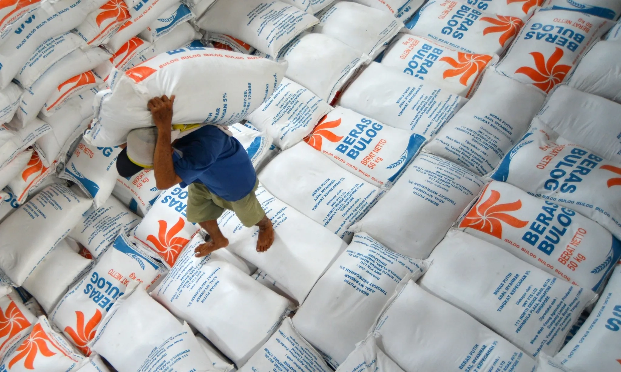 <p id="isPasted">Menko Zulkifli: Total Anggaran Bulog Rp39 Triliun Untuk Serap Beras</p>