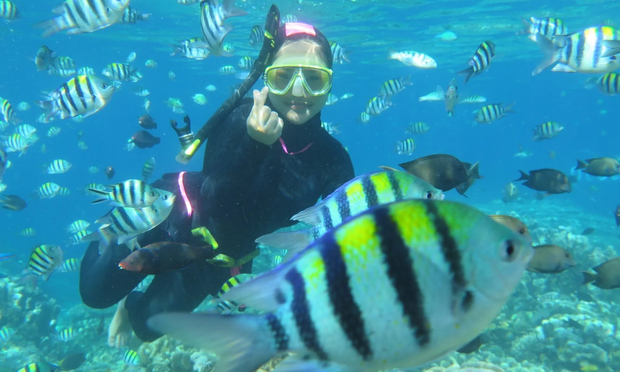 <p><em>Homestay&nbsp;</em>Dinilai Pas Untuk Dongkrak Potensi Wisata Gorontalo</p>