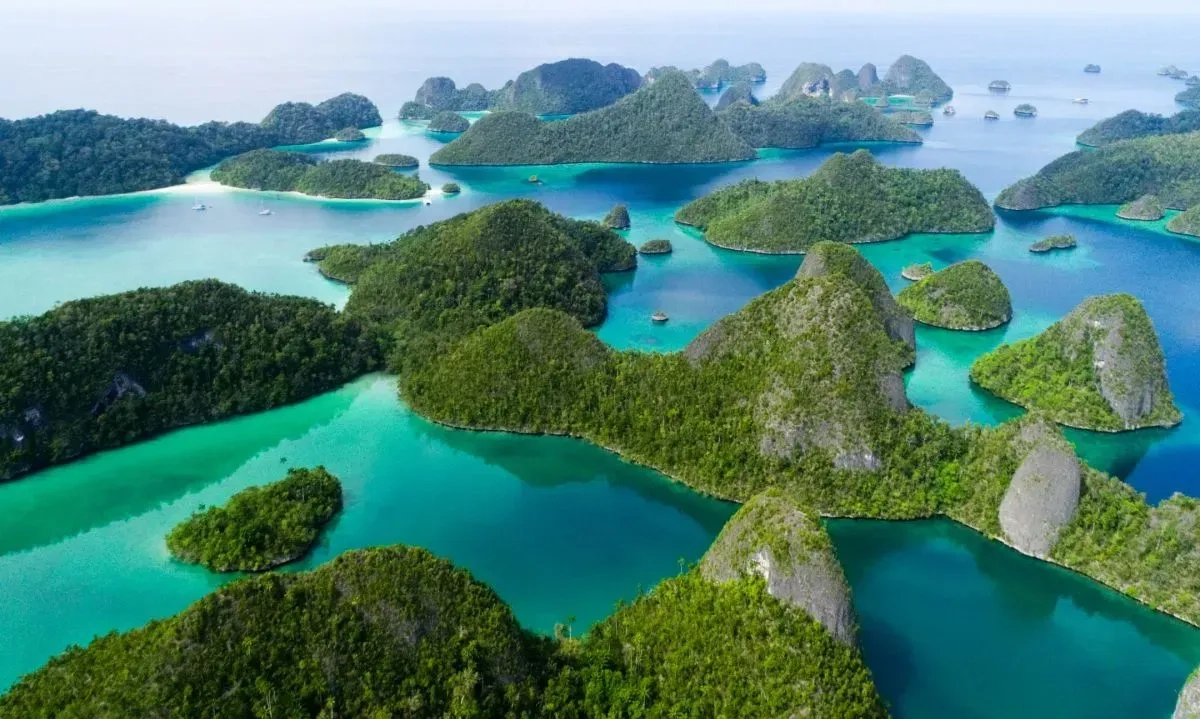 <p>Dukung Wisata Bahari Raja Ampat, KKP Lindungi Populasi Pari Dan Hiu</p>
