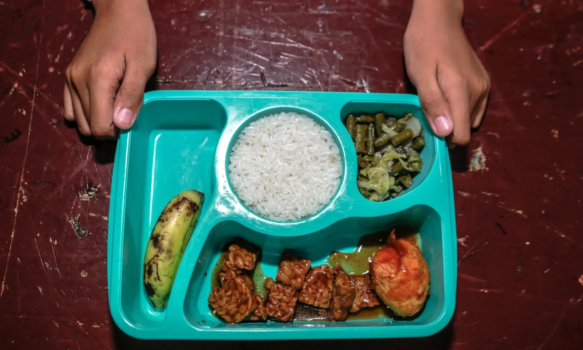 <p><b id="isPasted"><strong>Pemerintah Perlu Perkuat Regulasi Makan Bergizi Gratis</strong></b></p>