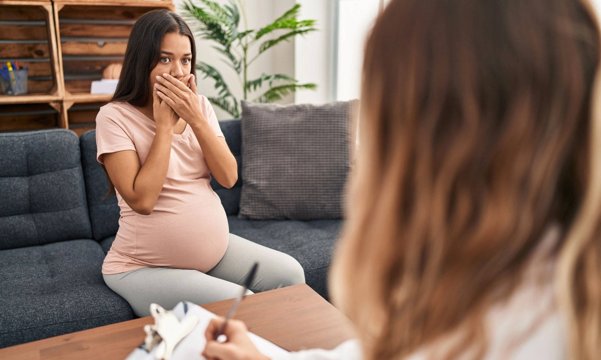 <p>Faktor Risiko Depresi Antepartum, Gangguan Suasana Hati Di Masa Kehamilan<br id="isPasted"><br></p>