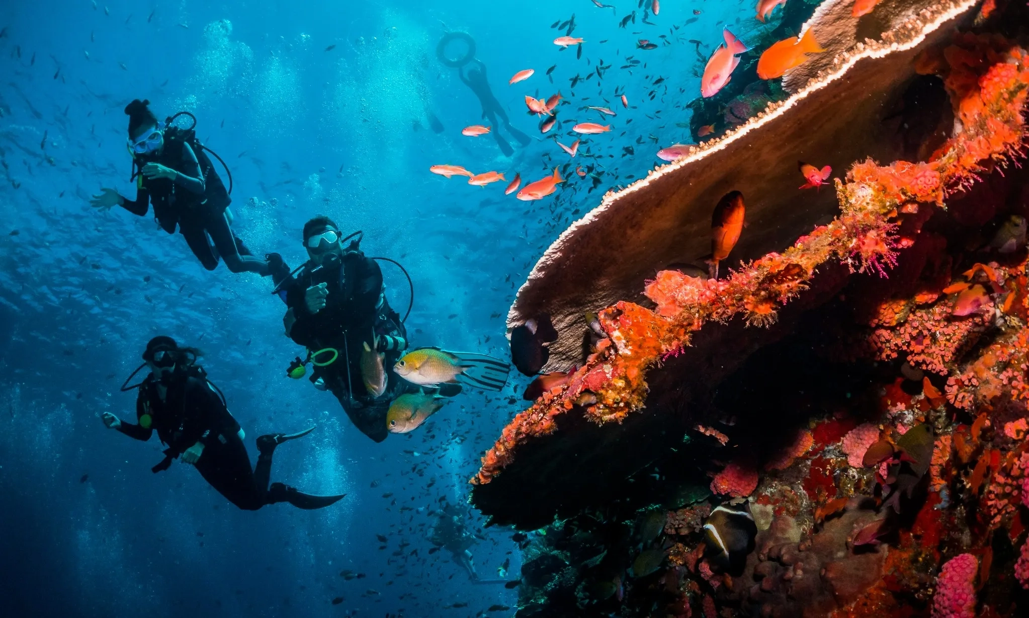 <p>Pengembangan Desa Wisata Bahari Ke Arah Keberlanjutan Lingkungan</p>