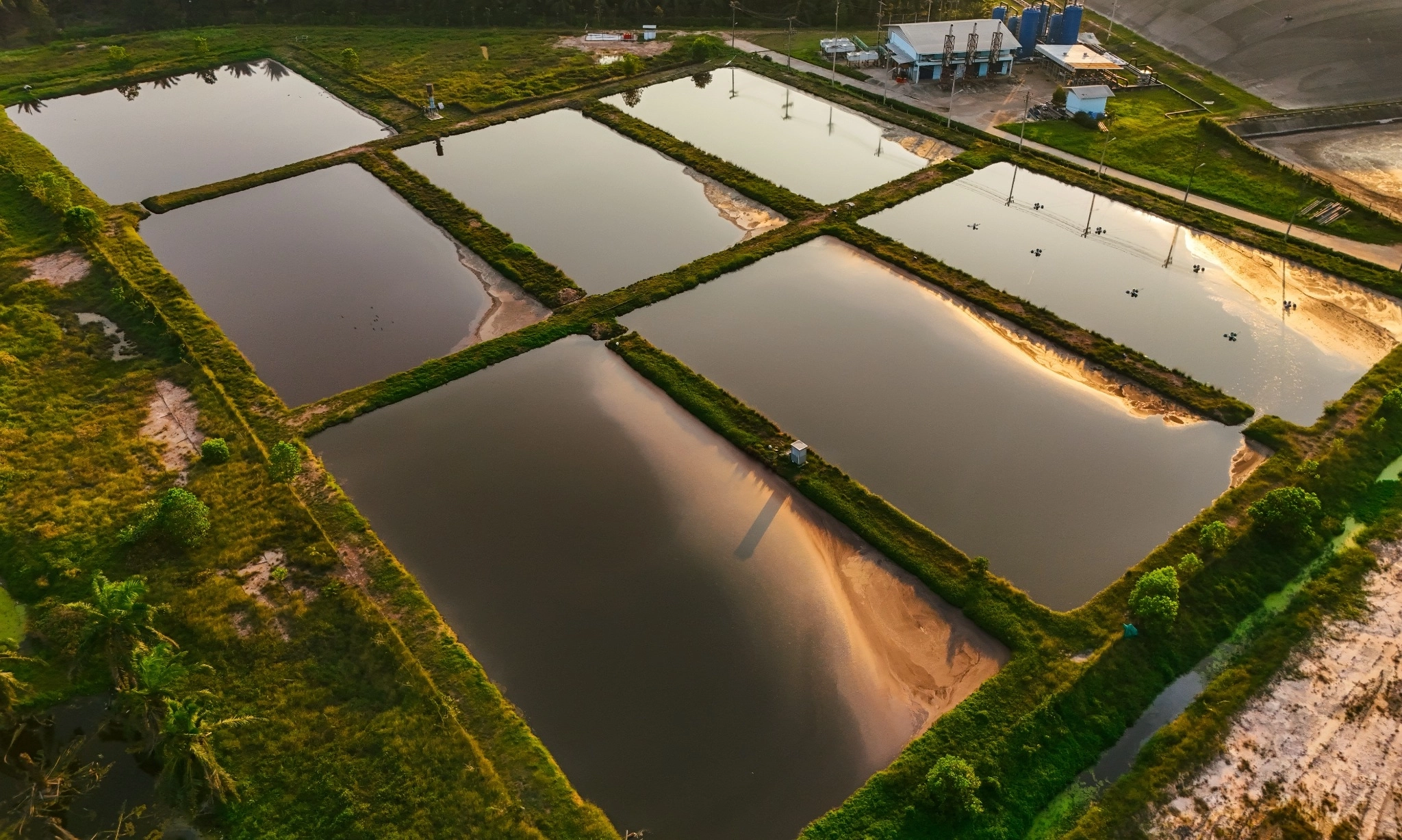 <p>Mengenal Bioremediasi, Pemanfaatan Organisme Hidup Untuk Selamatkan Lingkungan</p>
