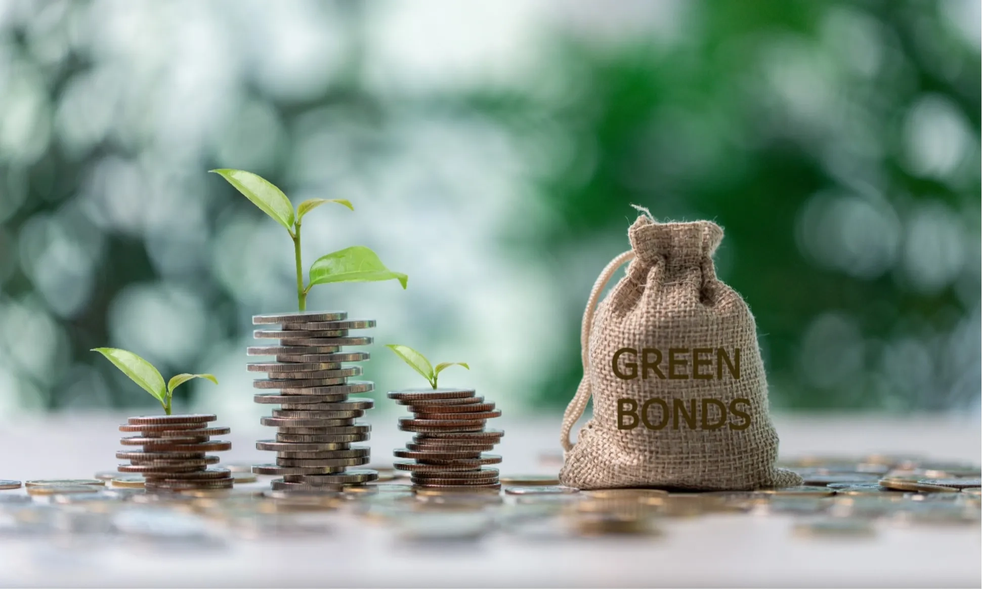 <p>Pefindo Resmi Jadi Penyedia Reviu Eksternal <em>Green Bond</em></p>