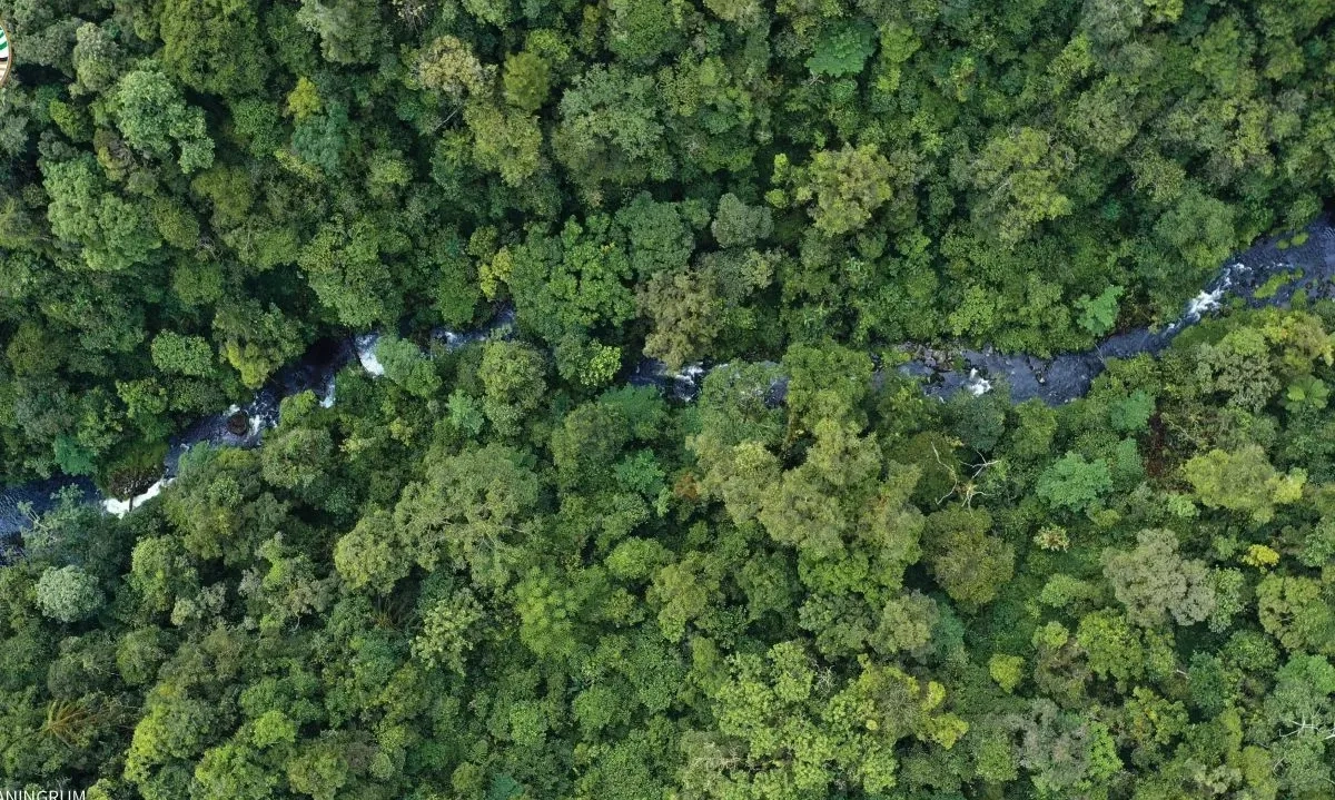 <p>Keputusan Menhut Libatkan TNI Jaga Hutan Dikritik</p>