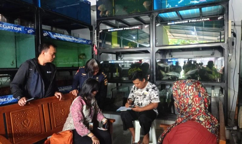 <p>KPKP Jakarta Sidak Penjualan Ikan Predator</p>
