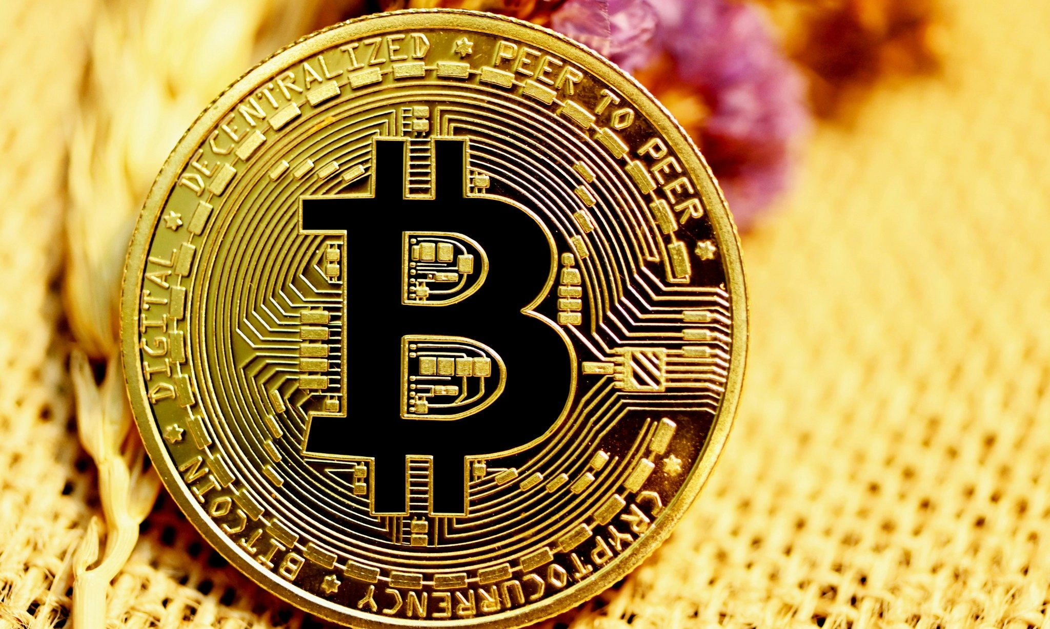 <p dir="auto" id="isPasted">OJK Imbau Generasi Muda Pahami Risiko Sebelum Berinvestasi Kripto</p>