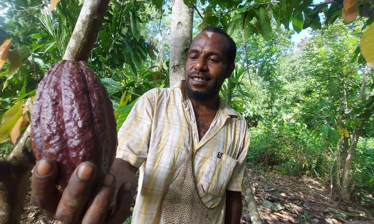 <p>BPS: Kinerja Ekspor Kakao Indonesia 2024 Meroket 118,64%</p>