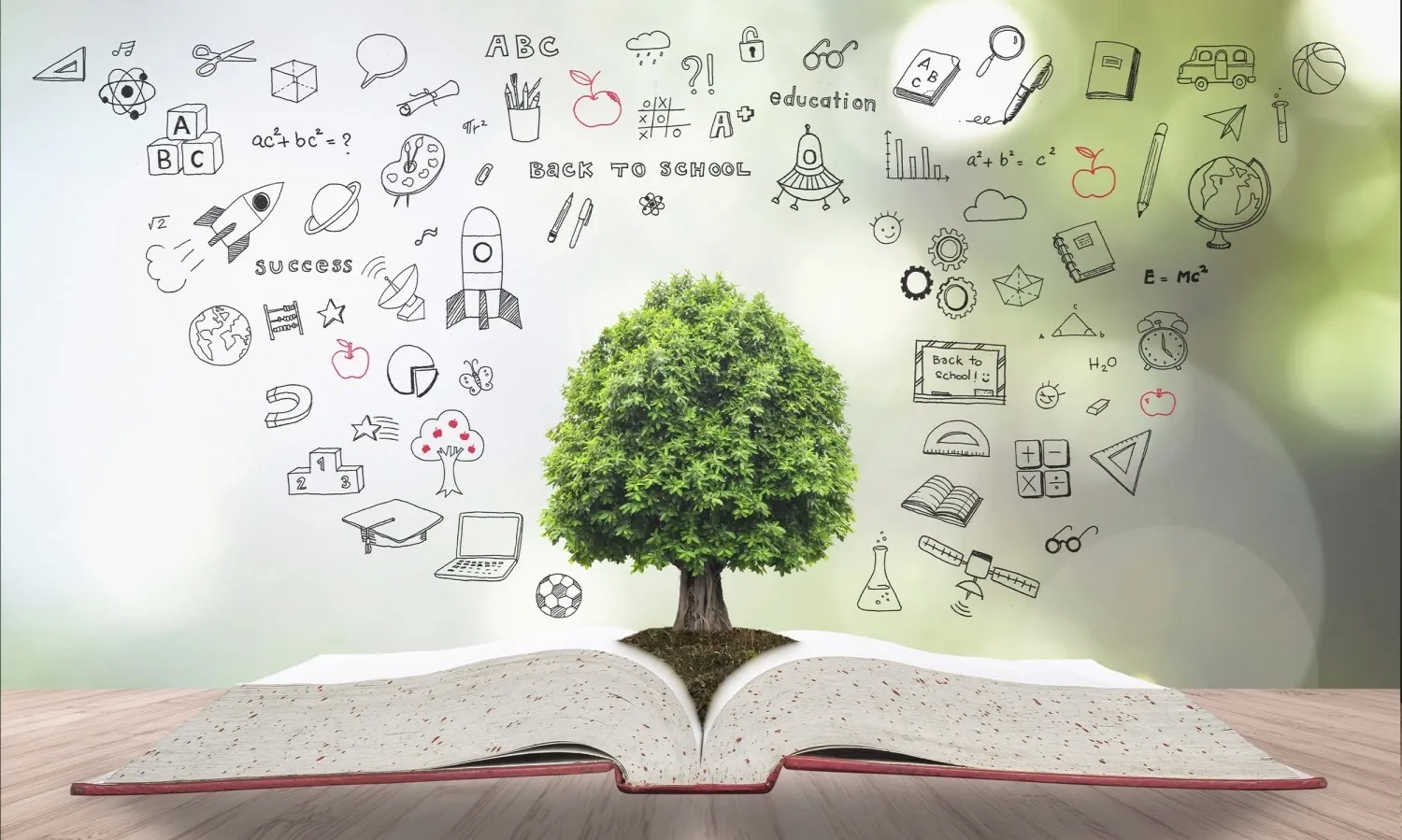 <p>Peminat MIPA Menurun, Kemendikti: Beberapa Kampus Tutup Prodi Fisika</p>