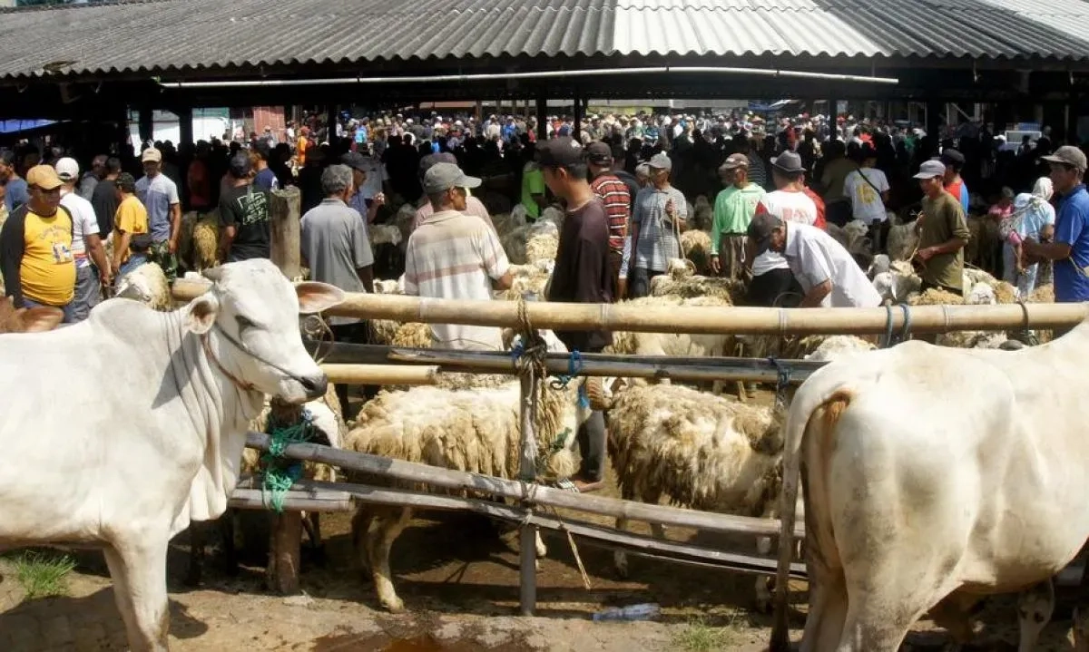 <div dir="auto" id="isPasted">Kementan Klaim Kasus PMK Terus Turun, Sejumlah Pasar Ternak Kembali Beroperasi</div>
