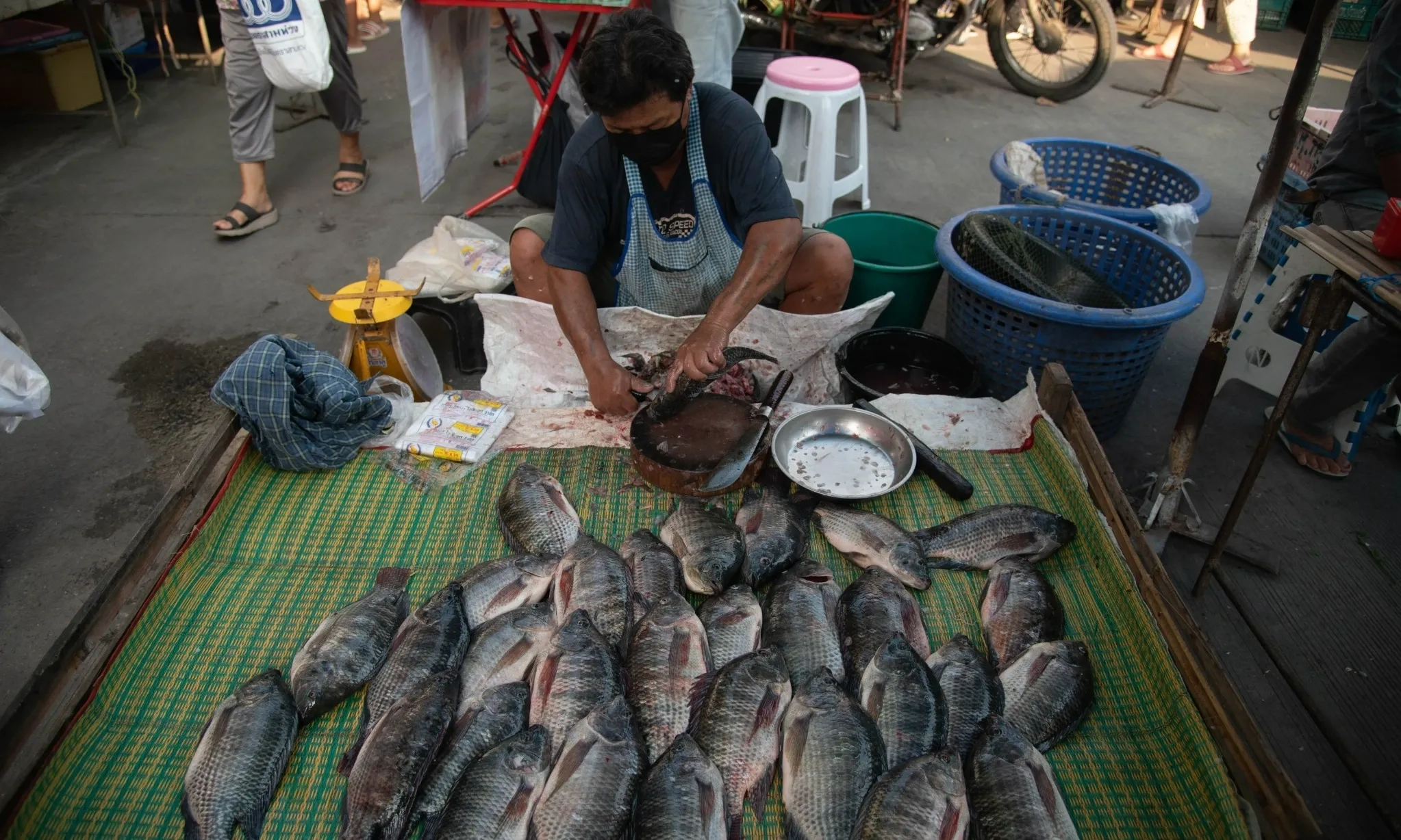 Tip Nutrisi Malam Untuk Tubuh Lebih Rehat