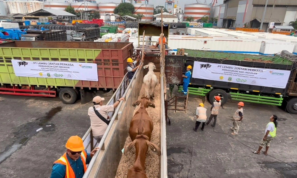 <p id="isPasted">Barantin Karantina Sapi Impor Hidup 2.449 Ekor Asal Australia</p>