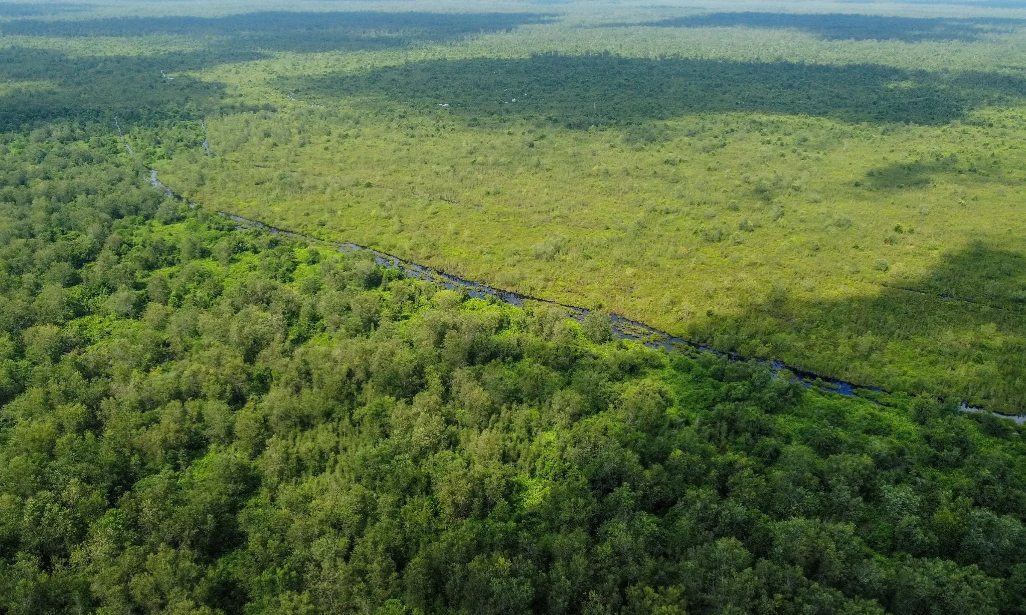 <p>Implementasi Regulasi Pengelolaan Lahan Gambut Masih Lemah</p>