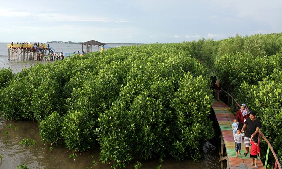 <p>Indonesia Perkuat Konservasi dan Ekowisata</p>