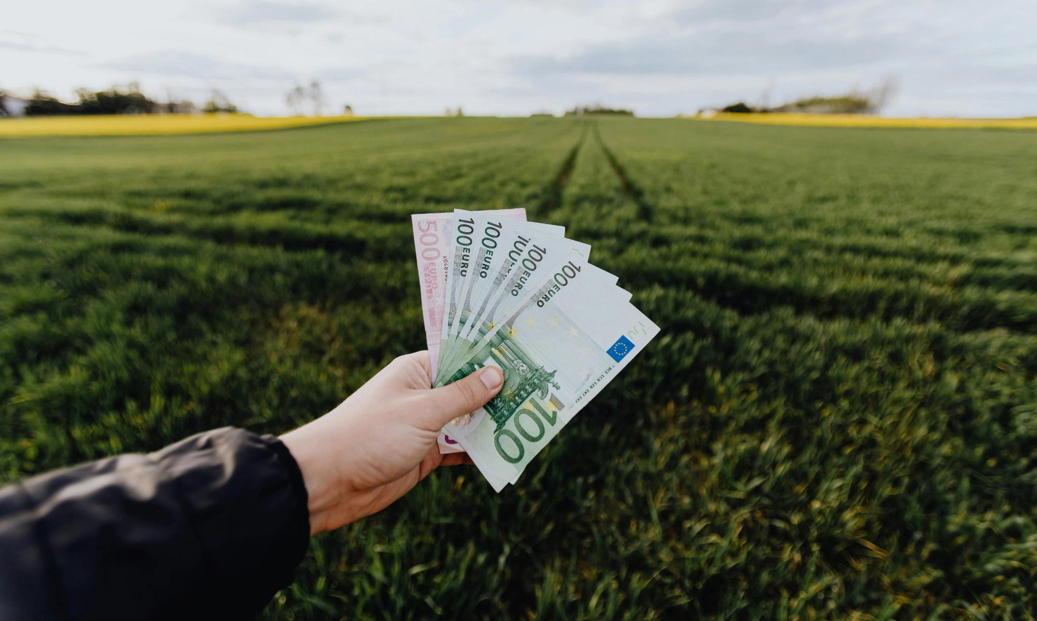 <p>Ekonom Ingatkan Pemerintah Jangan Persulit Investor Urus Izin Usaha Hijau</p>