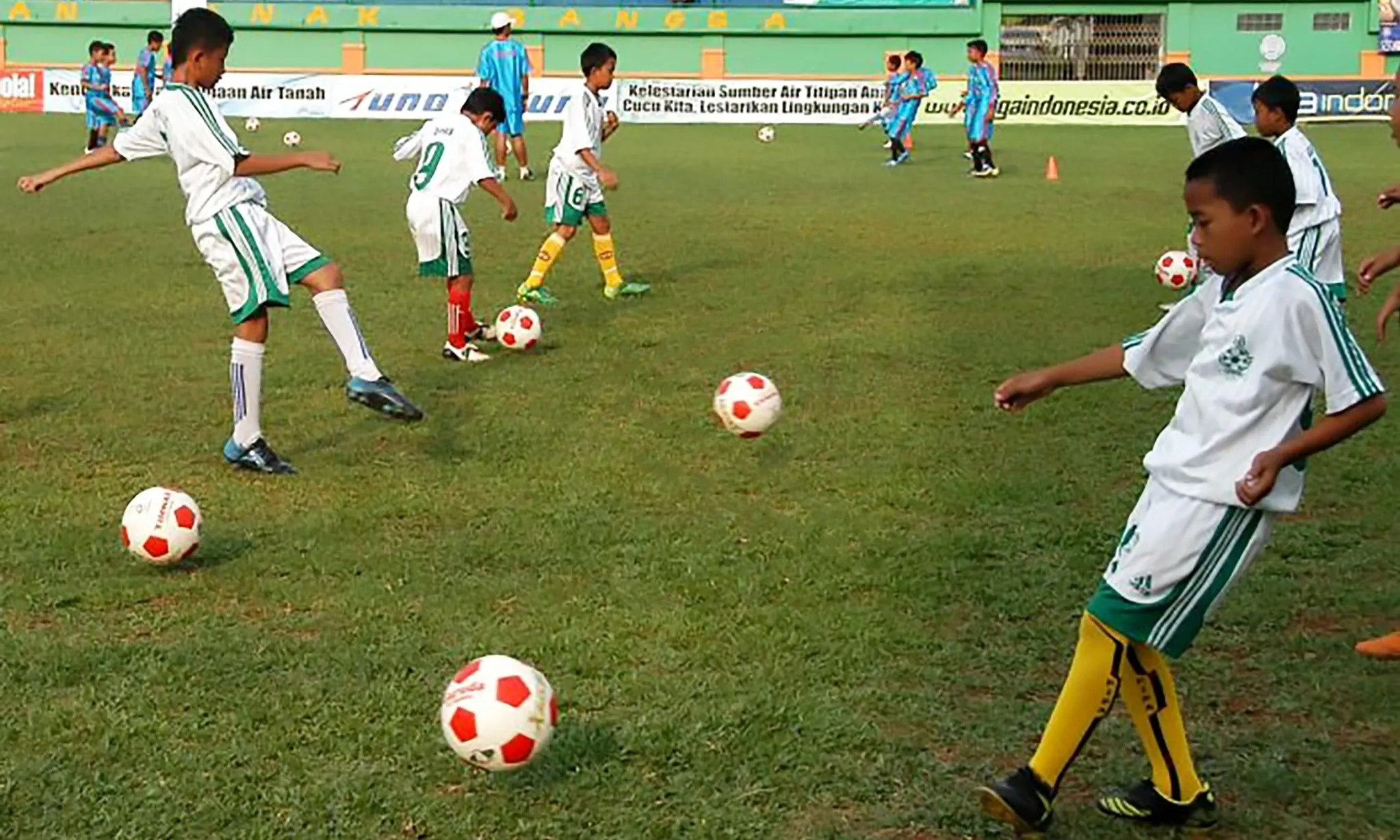 <p>DPR Ingatkan PSSI Jangan Hanya Andalkan Naturalisasi</p>