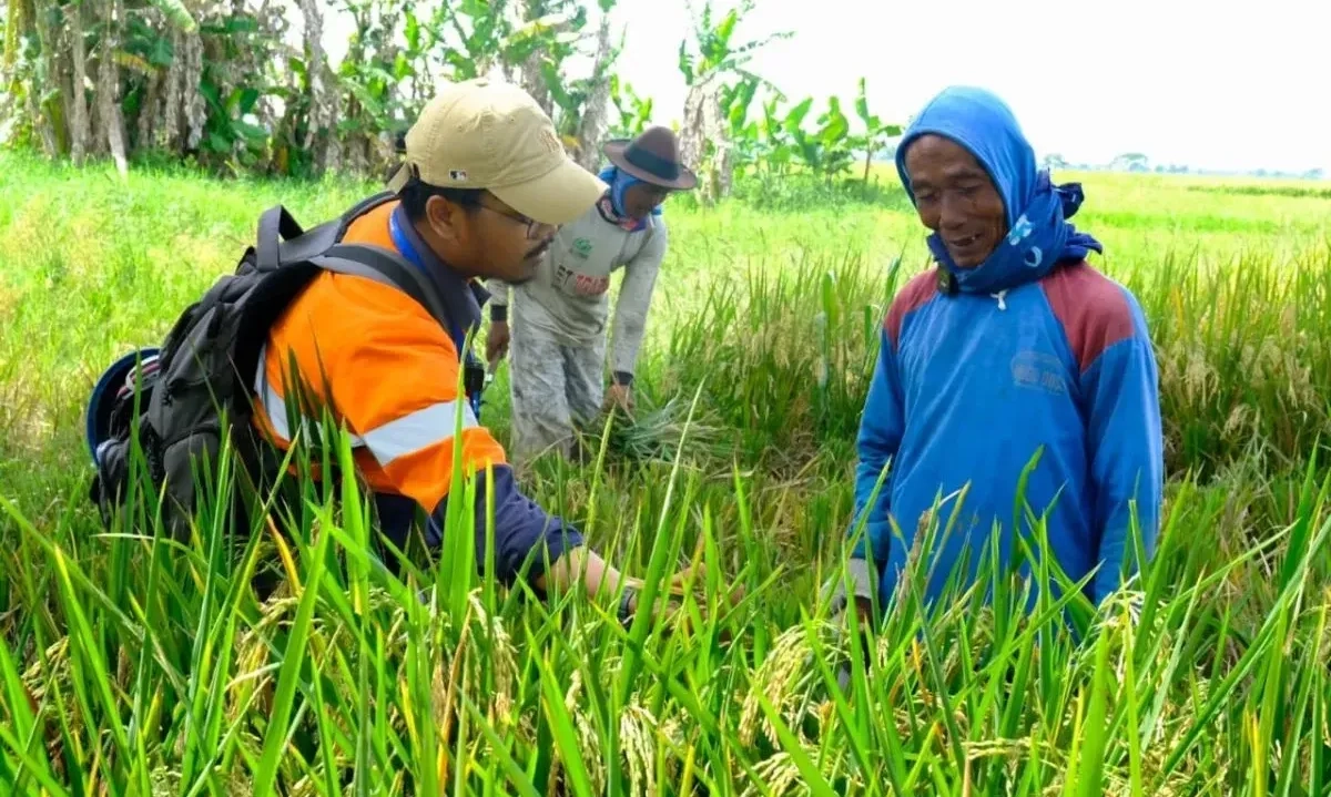 <p>Dukung Swasembada Pangan, WPI Perluas Kemitraan</p>