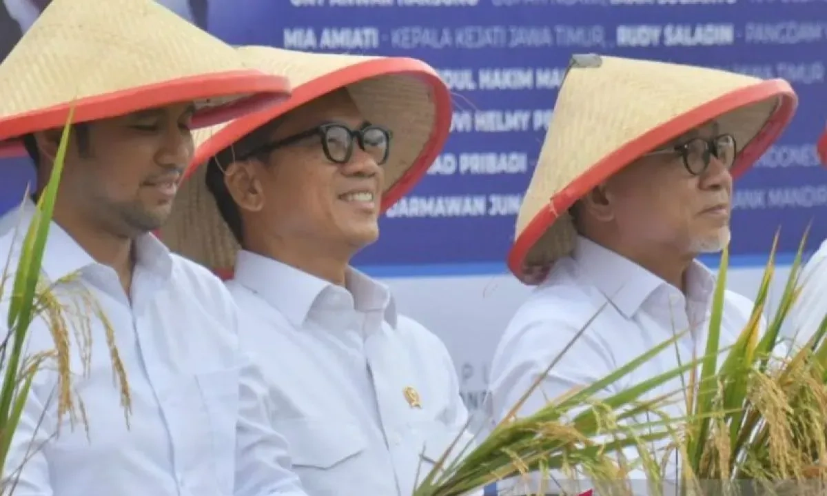 <p>Zulhas Optimistis RI Tak Impor Beras Lagi Sampai Tahun Depan</p>