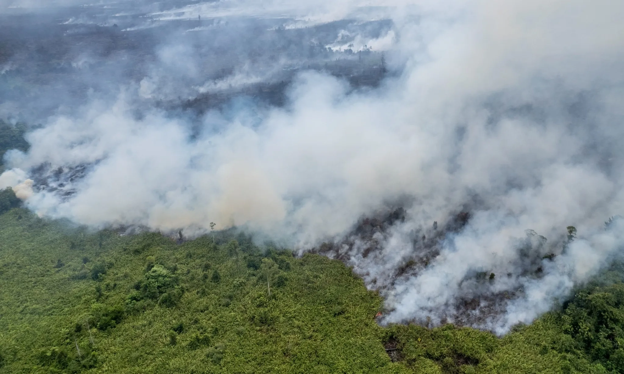 <p>Desk Karhutla Dibentuk Dengan Target Nol Kebakaran Hutan</p>