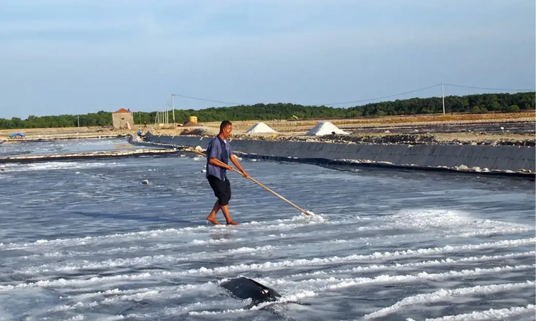 <p id="isPasted">Agar Tak Lagi Impor, PT Garam Sebut Perlu Investasi Bangun Industri Garam</p>