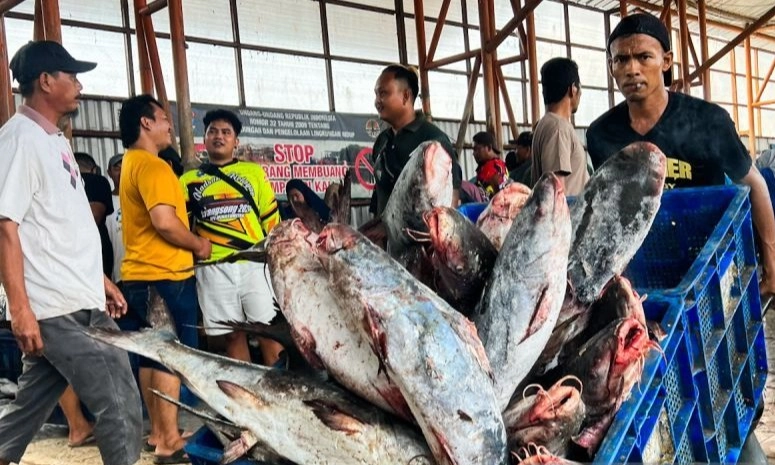 <p id="isPasted">KKP Catat 544 Perusahaan Pengolahan Ikan Tembus Ekspor Ke China</p>