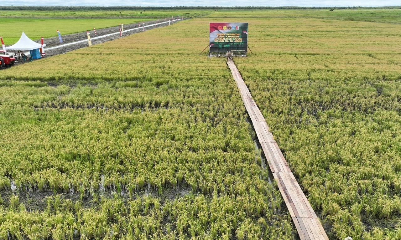 <p>Ada Impor Beras 443 Ribu Ton Di 2025, Ini Penjelasan Kementan</p>