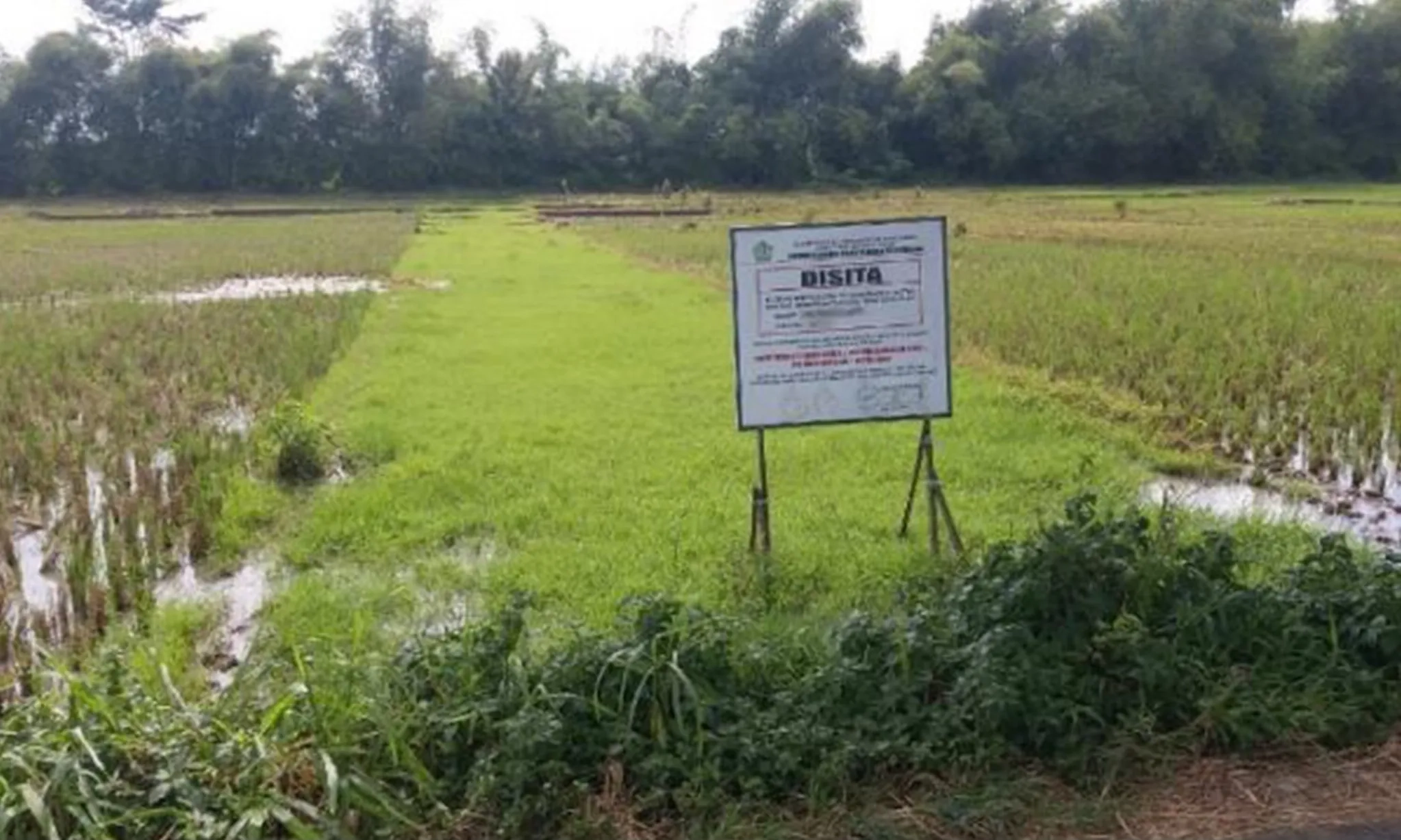 <p>Kejagung-Pupuk Indonesia Kelola Tanah Rampasan Kasus Asabri Jadi Sawah</p>