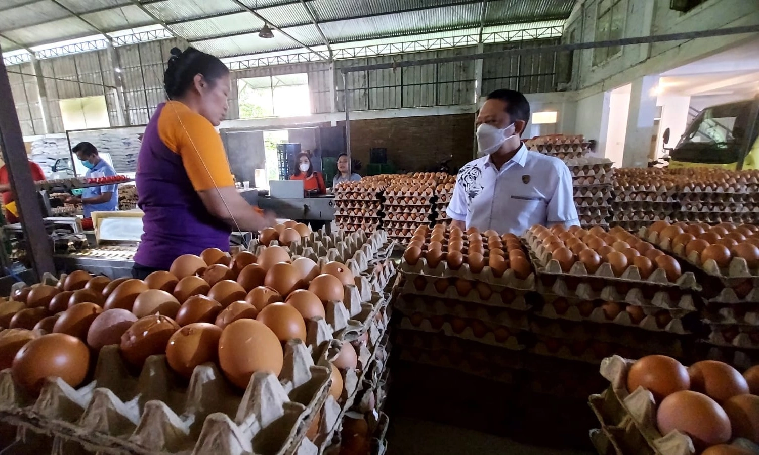 <div dir="auto" id="isPasted">Kementan: RI Berlimpah Pasokan Telur Di Tengah Fenomena Global <em>Eggflation</em>&nbsp;</div>